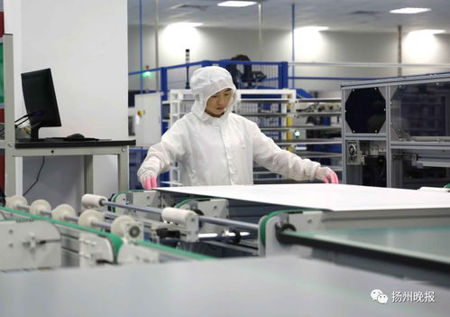 快看 一群人深入揚州這三家企業(yè),帶回一組震撼照片