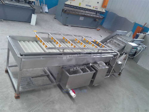 四季香蔥清洗風干線與小蔥清洗線 高效清洗技術與新型汽輪機的研發及銷售